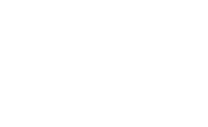 Volentis